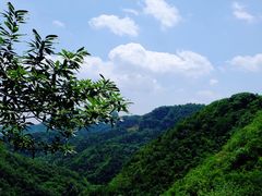 -老象峰