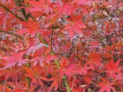 -浙江大学(玉泉校区)