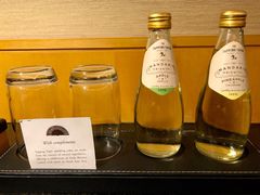 -新加坡文华东方酒店