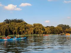 -WhaleSports户外水上运动俱乐部(朝阳公园店)
