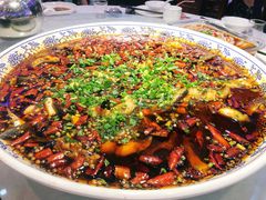 -新概念来凤鱼(璧山店)