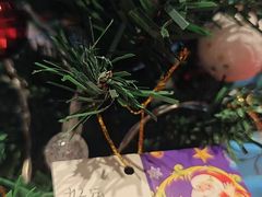 -贝瑞咖啡(深圳机场店)