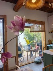 点击看大图 -花间禅净·瑜伽