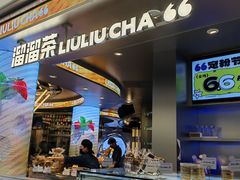 -TD66高山铁皮石斛养生茶饮