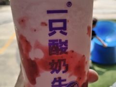 -一只酸奶牛(春熙路店)