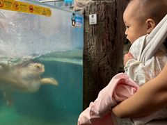 -成都浩海立方海洋公园