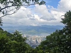 -梧桐山风景名胜区