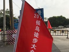 -大湾区中央湿地公园