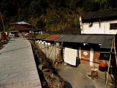 -祁门牯牛降观音堂风景区