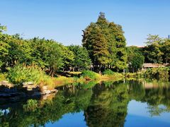 -四海公园(南山区)
