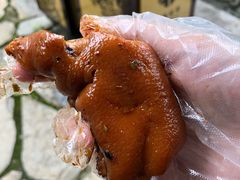 卤猪脚-金必轩(青岩店)