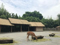 景点-金沙遗址博物馆