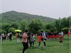 -习家池