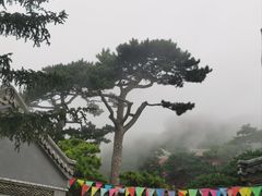 -妙峰山风景名胜区