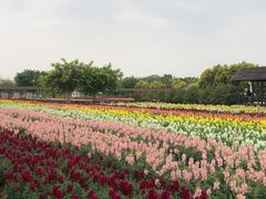 -广东花都香草世界旅游度假区