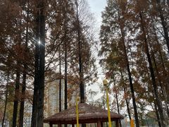 -宁波儿童公园(鄞州区)