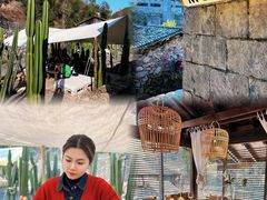 -MOJ coffee(瓯海泽雅水碓坑店)