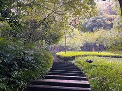 -杭州半山国家森林公园