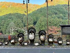 -岚山嵯峨野观光小火车
