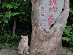 -贮水山儿童公园
