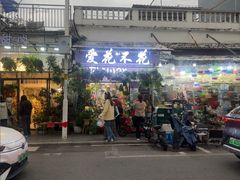 -溪岸路花鸟市场
