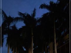 -三亚亚龙湾红树林度假酒店