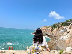 -广东惠东海龟国家级自然保护区