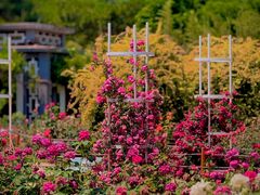 -国家植物园南园