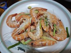 -小小饭店·休闲农庄·安吉松树林里的农家菜