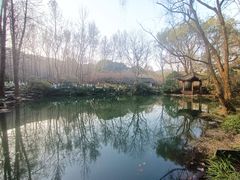 -杭州植物园