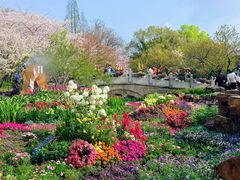 -苏州上方山国家森林公园