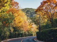 -平湖九龙山旅游度假区