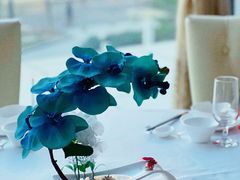 -红门金汤·港式火锅(英皇集团中心店)