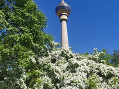 -中央广播电视塔