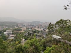 -福道