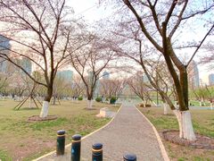 -西北湖绿化广场