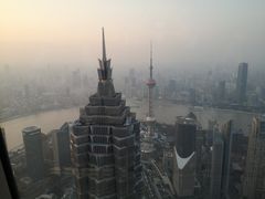 -上海柏悦酒店·世纪100牛排馆