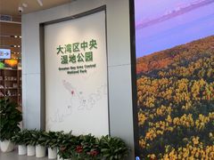 -大湾区中央湿地公园
