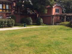 -上海瑞金洲际酒店