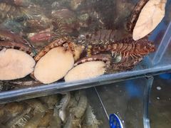 -宾朋海鲜特色美食餐厅·纯手工鲅鱼水饺(兴海路店)