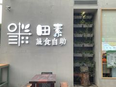 -田素(稻田创业小镇店)