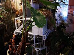 -植物学家的女儿(北马道巷店)