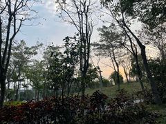 -宝安西湾红树林湿地公园