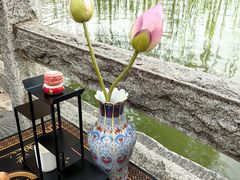 -济南大明湖景区