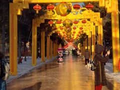 -长春市南湖公园