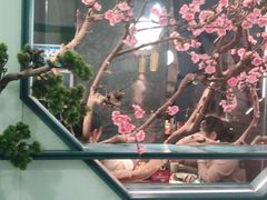 -老板恋上鱼(振华商厦店)