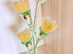 -北京张裕爱斐堡酒庄