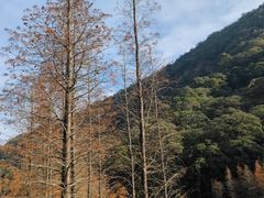 -广州市石门国家森林公园