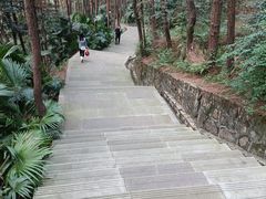 -铁山坪森林公园