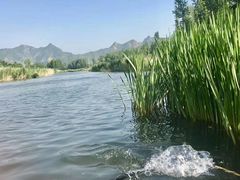 -白河湾生态旅游一条川